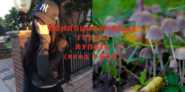 стаф Осташков