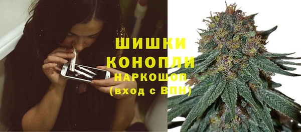 стаф Осташков