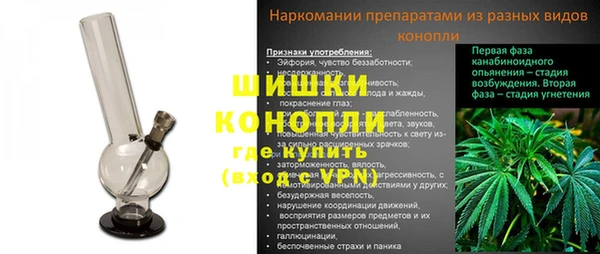стаф Осташков