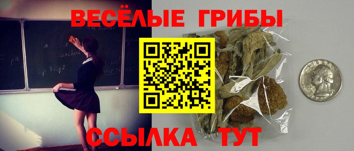Псилоцибиновые грибы ЛСД Белогорск