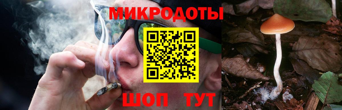 Белогорск  Псилоцибиновые грибы прущие грибы  Вход с VPN 