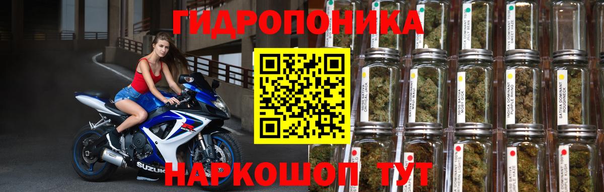 Каннабис планчик  Марихуана сатива  Белогорск  Бошки Шишки MAZAR 